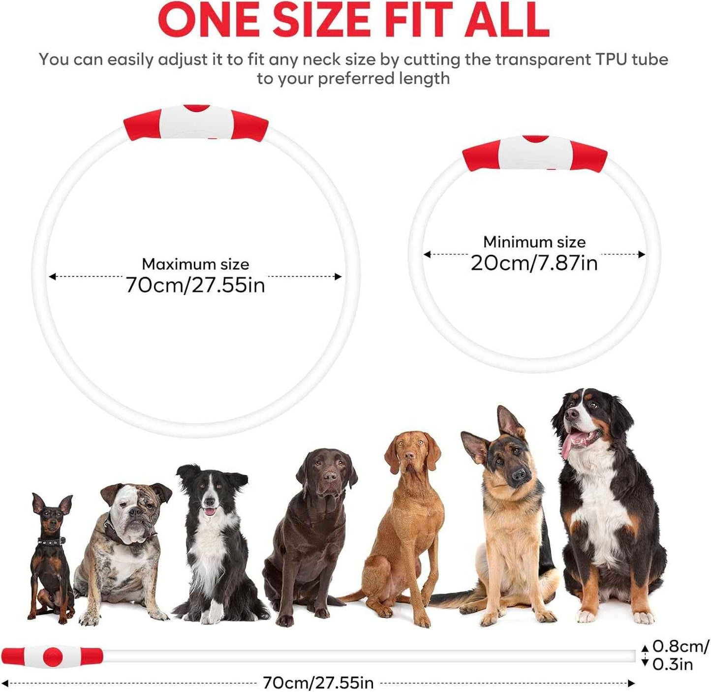 USB Rechargeable LED Dog Collar Light for Night Walks