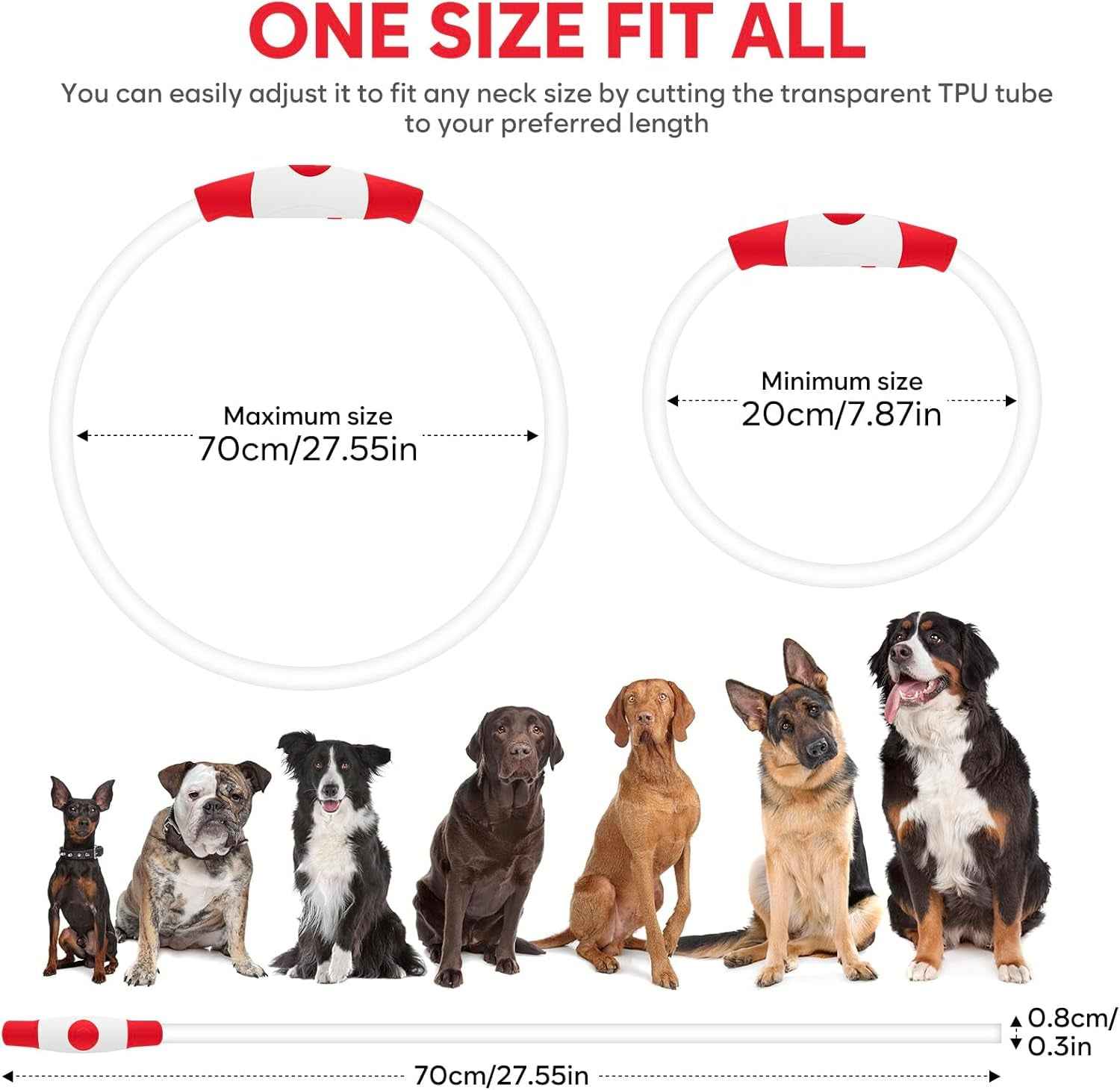 USB Rechargeable LED Dog Collar Light for Night Walks