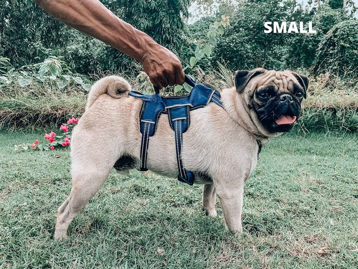 Tuff Pupper Escape Proof Adjustable Dog Harness | 5-Point