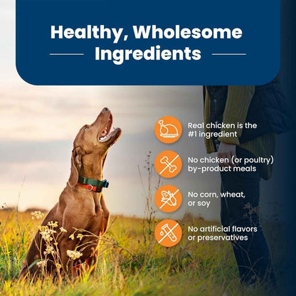 Blue Buffalo Large Breed Dog Food - Joint Health Formula