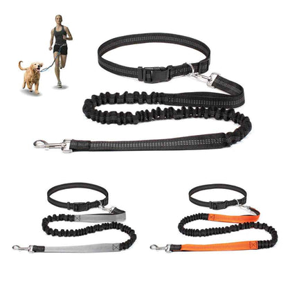 Hands Free Dog Leash Adjustable
