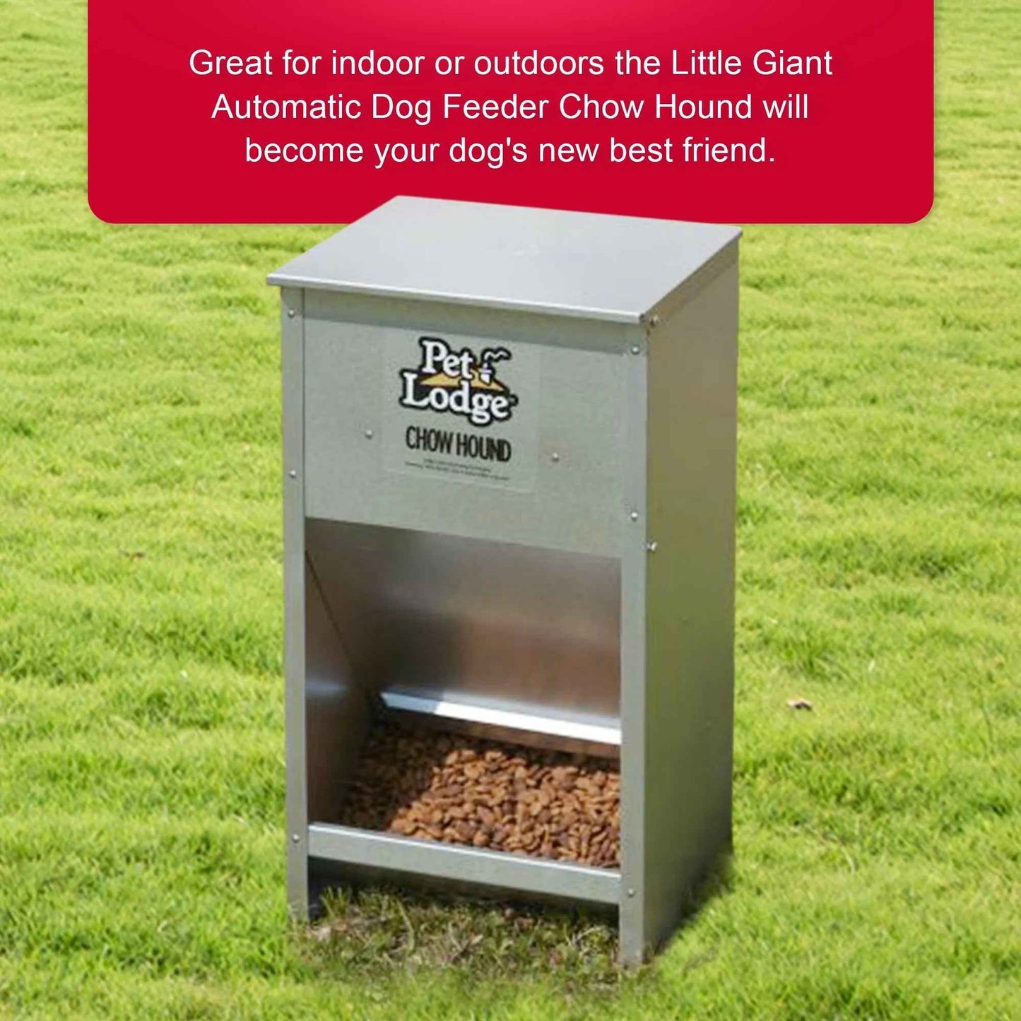 Automatic Steel Dog Food Feeder