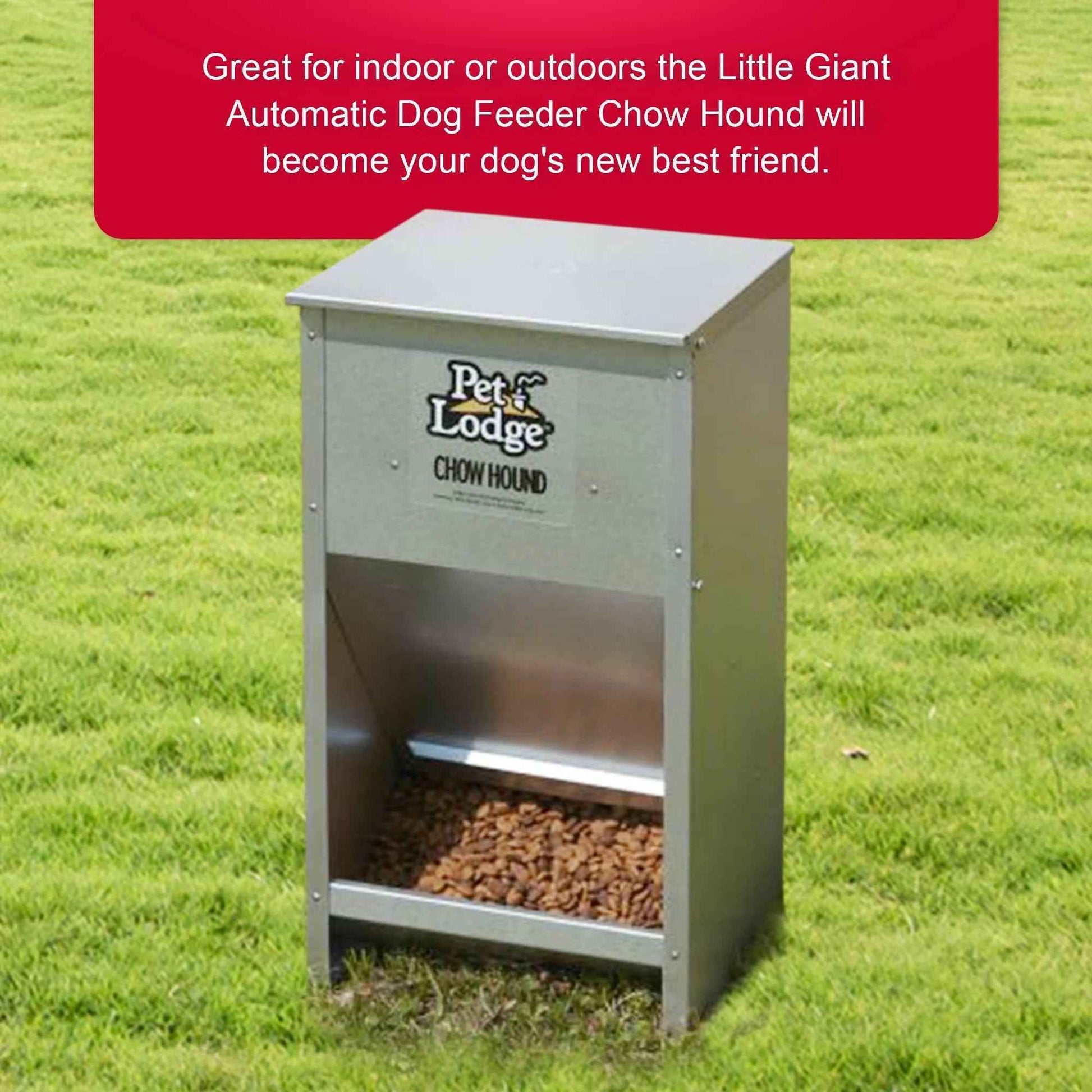 Automatic Steel Dog Food Feeder