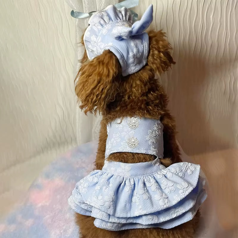 Pet Spring Jumpsuit & Dress: Stylish Cat & Small Dog Outfits - HuckMB Pet Supply