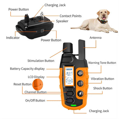 Electric Dog Training Collar Waterproof