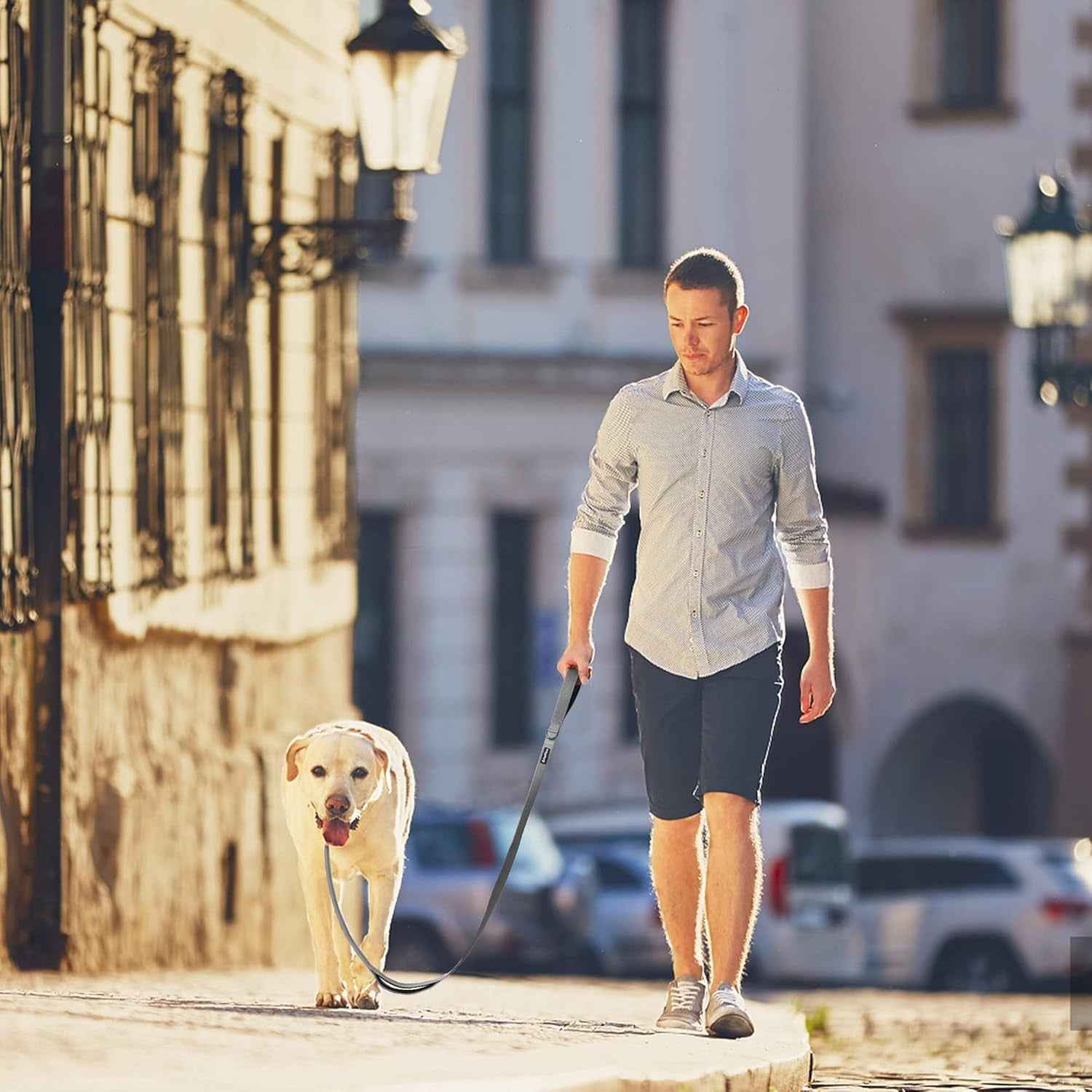 Heavy Duty Reflective Dog Leash: Soft Padded Handles, 4FT