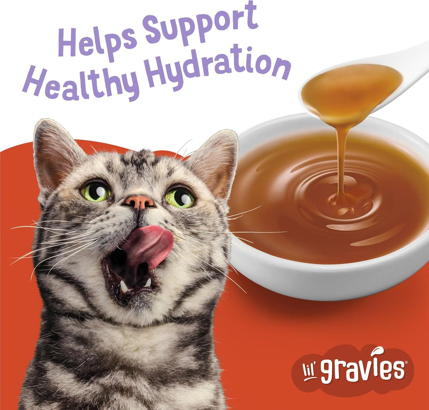 Friskies Turkey Flavor Cat Food Toppers Lil' Gravies Treats - HuckMB Pet Supply