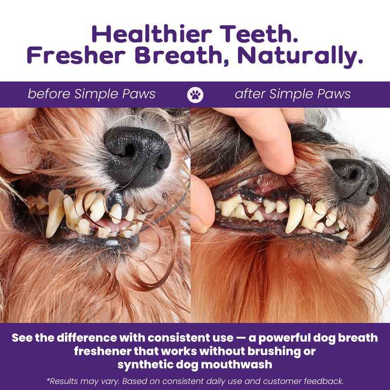 Natural Dog Dental Powder for Clean Teeth & Fresh Breath