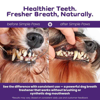 Natural Dog Dental Powder for Clean Teeth & Fresh Breath