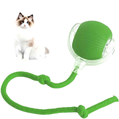 Interactive Pet Rolling Ball Toy