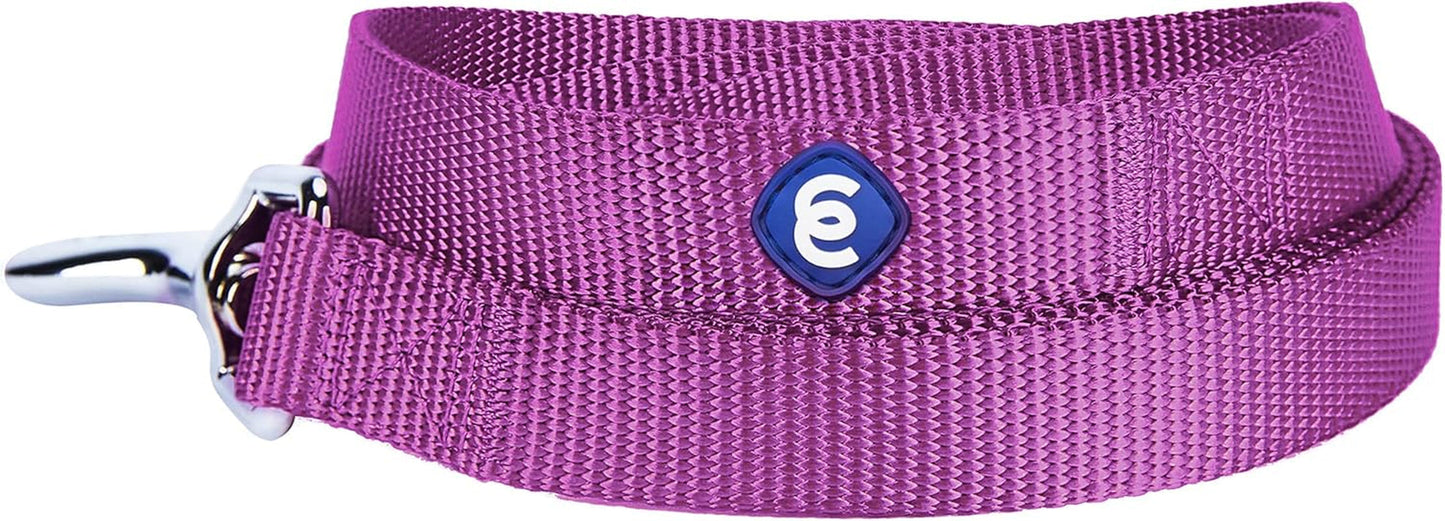 Durable Nylon Violet Dog Leash by Blueberry Pet Essentials - HuckMB Pet Supply