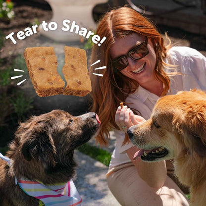 Grain-Free Soft Dog Training Treats with Turkey & Duck (6oz)