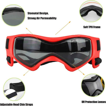 Dog Goggles for Small Breeds - Stylish Eye Protection
