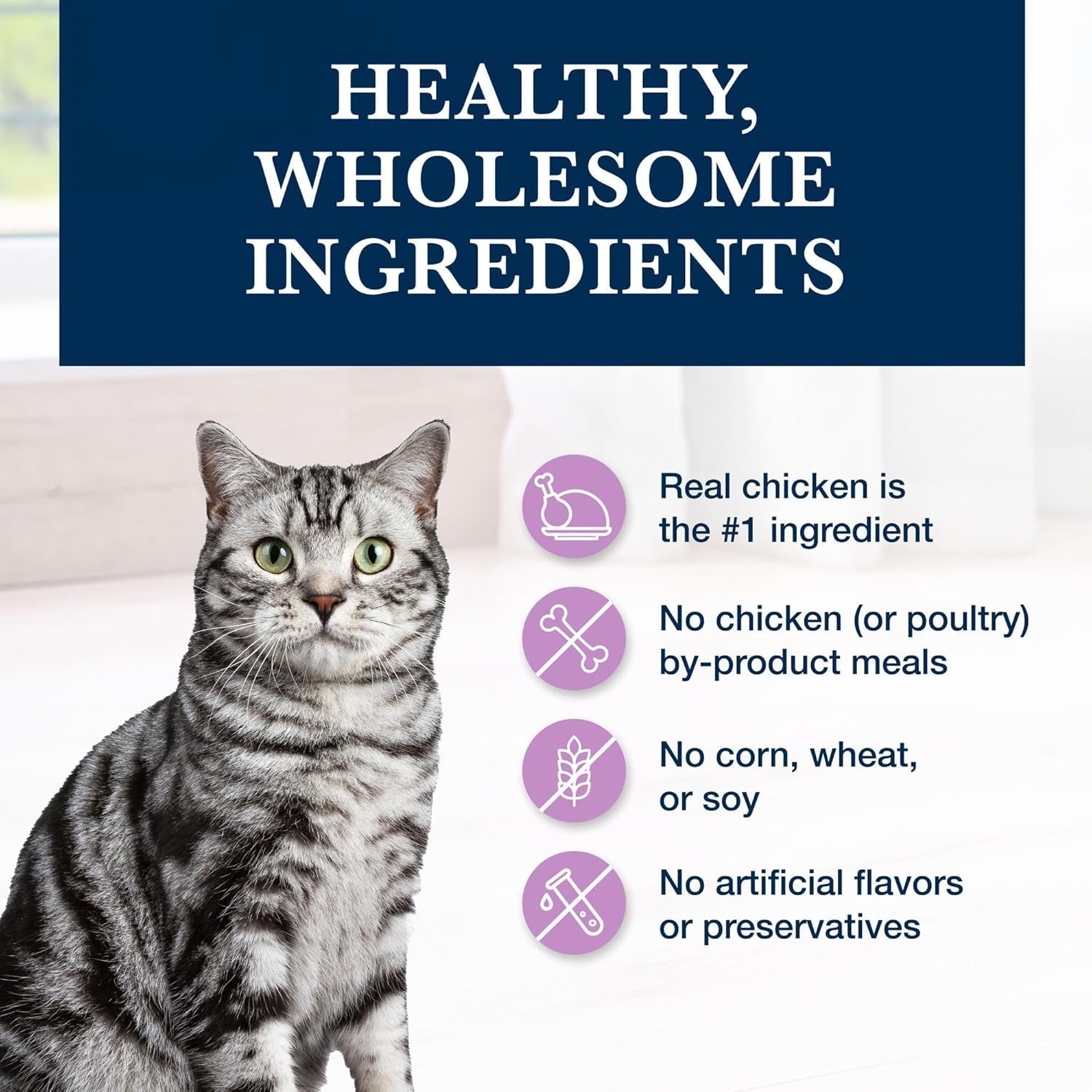 Blue Buffalo Cat Weight Urinary Care:Chicken Diet, 6.5Lb Bag - HuckMB Pet Supply