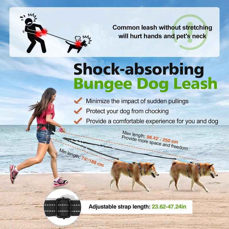 Hands-Free Dual Bungee Dog Leash: Walk Two Dogs Effortlessly