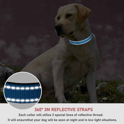 Reflective Adjustable Dog Collar Large - Safe Nylon All Dogs