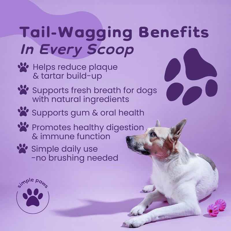 Natural Dog Dental Powder for Clean Teeth & Fresh Breath