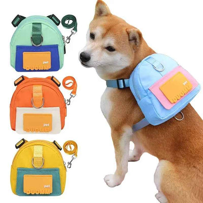Pet Training Waist Bag Set – Walk & Reward Companion
