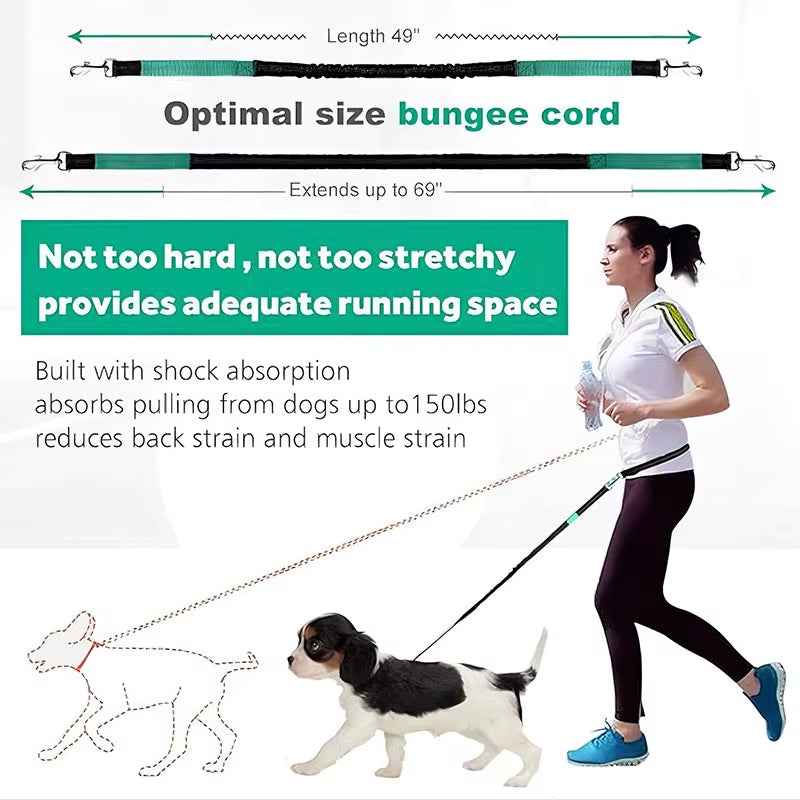 Hands-Free Dog Leash Waist Belt