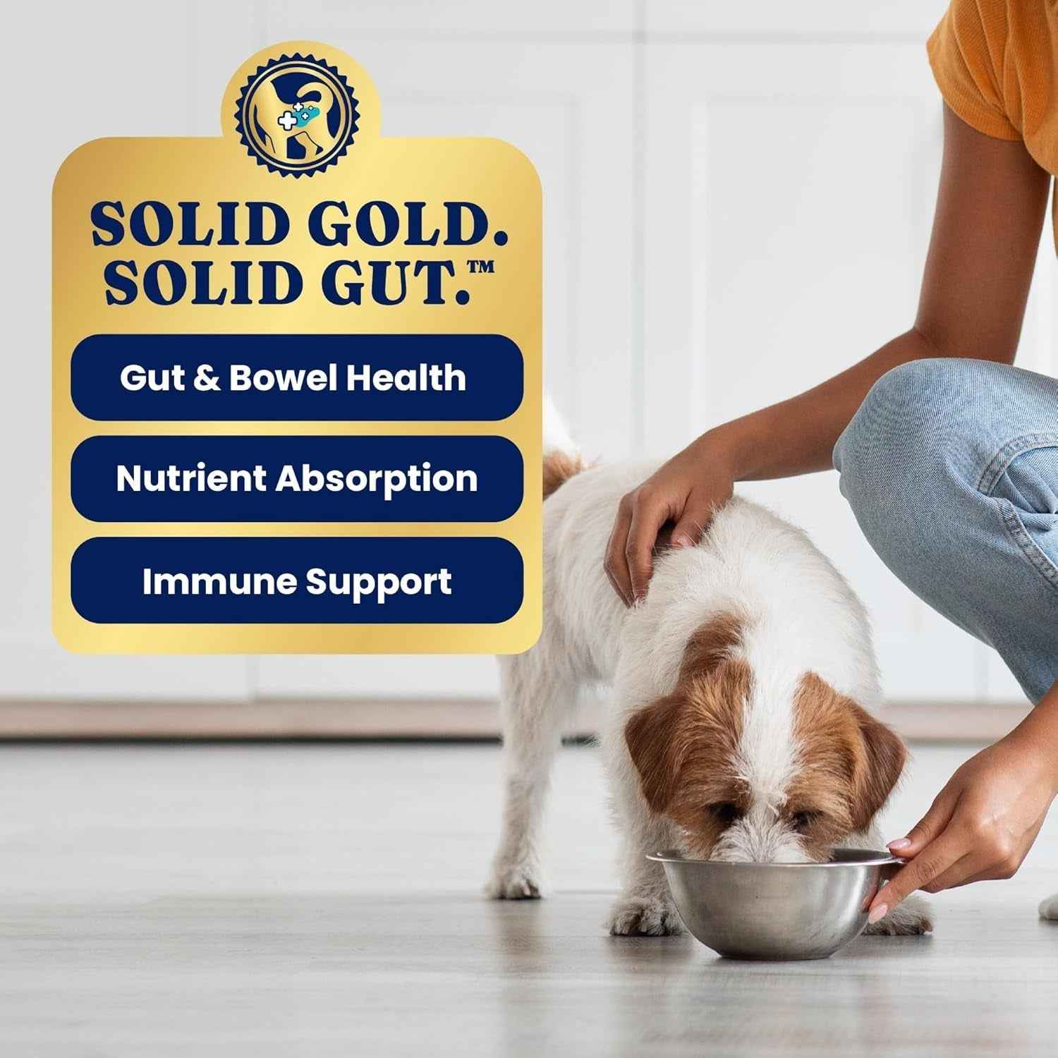 Grain Free Weight Management Dog Food: Solid Gold Wet Recipe
