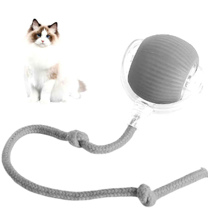 Interactive Pet Rolling Ball Toy