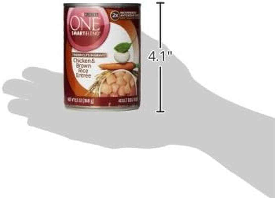 Purina ONE High Protein Chicken and Rice Dog Food in Gravy