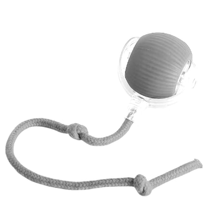 Interactive Pet Rolling Ball Toy - HuckMB Pet Supply