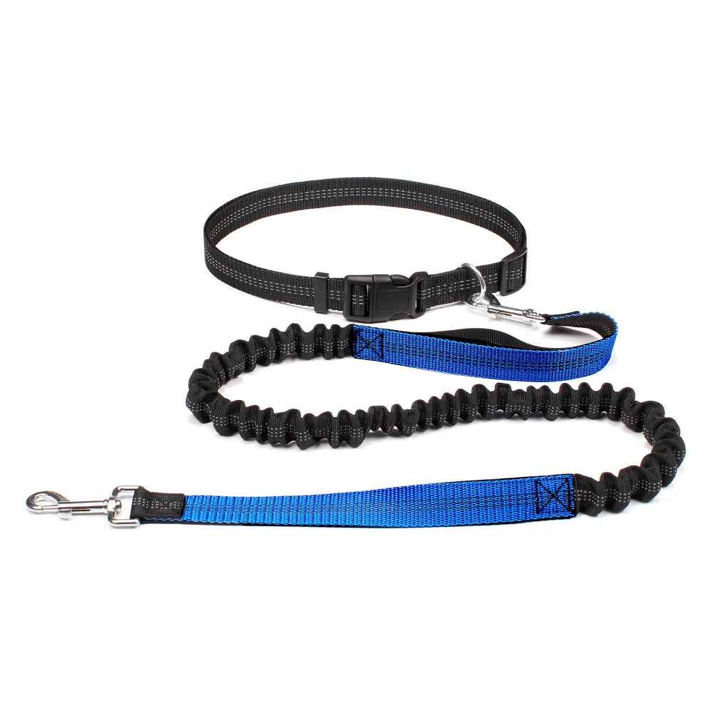 Hands Free Dog Leash Adjustable