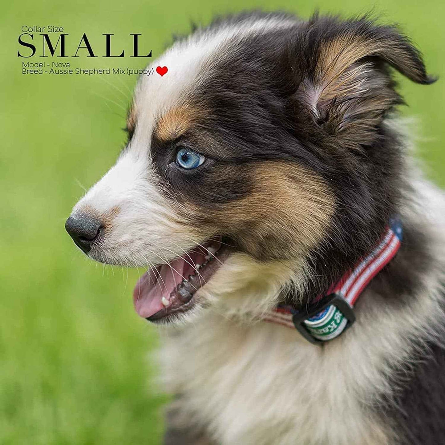 Classic American Flag Dog Collar - Adjustable & Durable