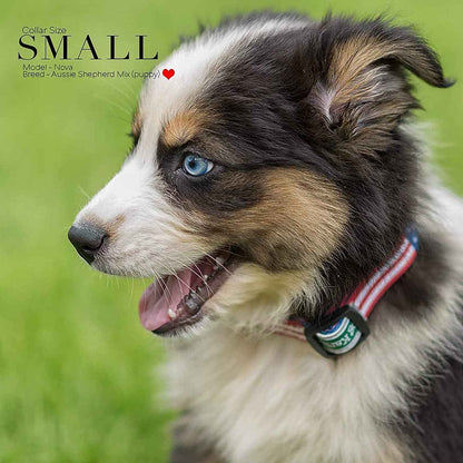 Classic American Flag Dog Collar - Adjustable & Durable