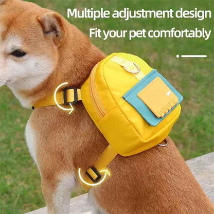 Pet Training Waist Bag Set – Walk & Reward Companion