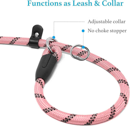 Durable Reflective Slip Lead Dog Leash for Training & Safety