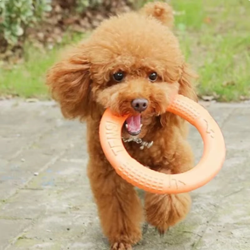 Durable Dog Training Flying Disk Toy - EVA Ring for Pets - HuckMB Pet Supply