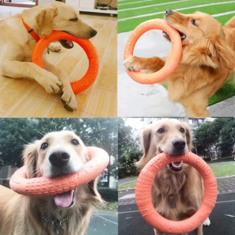 Durable Dog Training Flying Disk Toy - EVA Ring for Pets - HuckMB Pet Supply