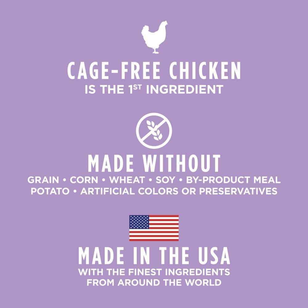 Grain-Free High-Protein Kitten Food - Raw Coated Kibble