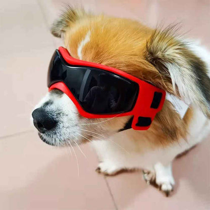 Dog Goggles for Small Breeds - Stylish Eye Protection