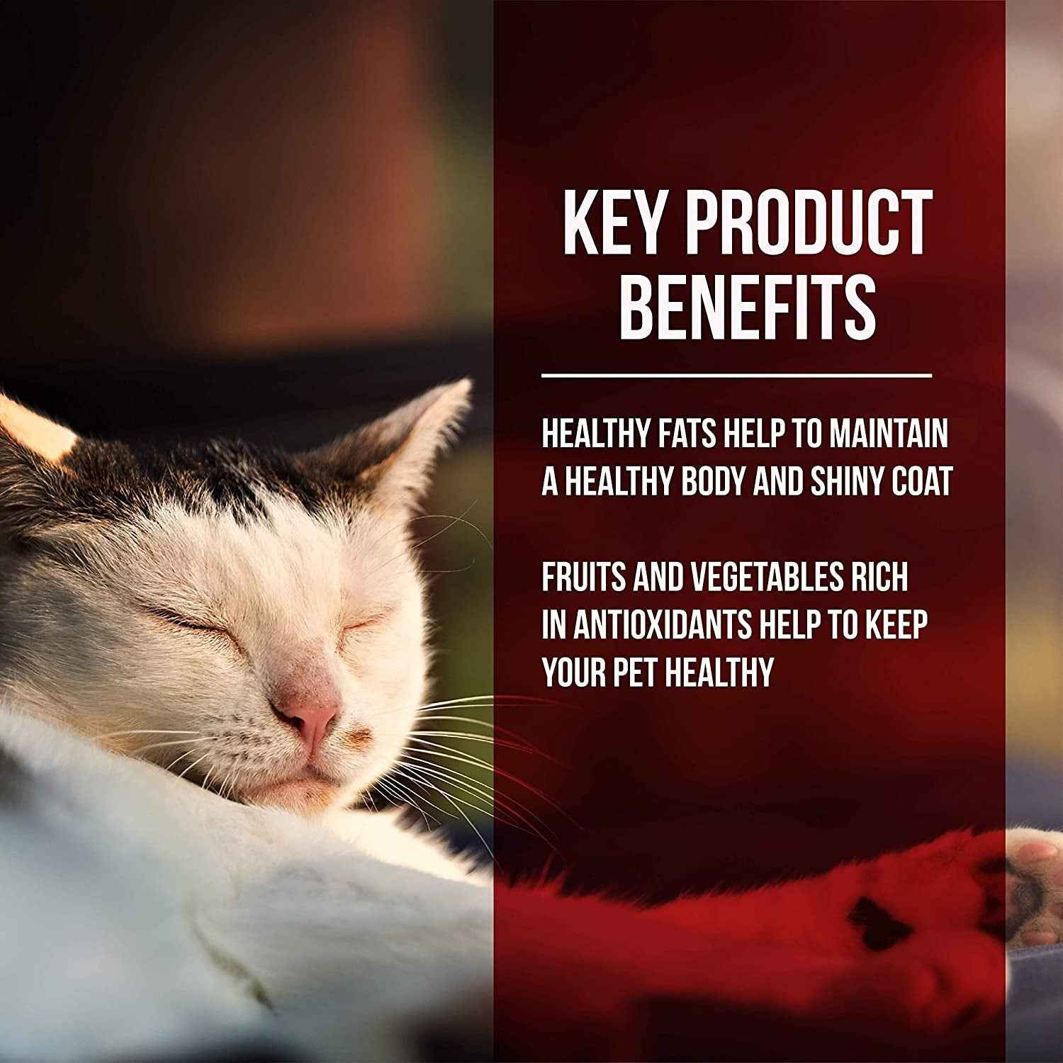 Fussie Cat Grain-Free Chicken & Turkey Dry Food 10Lb