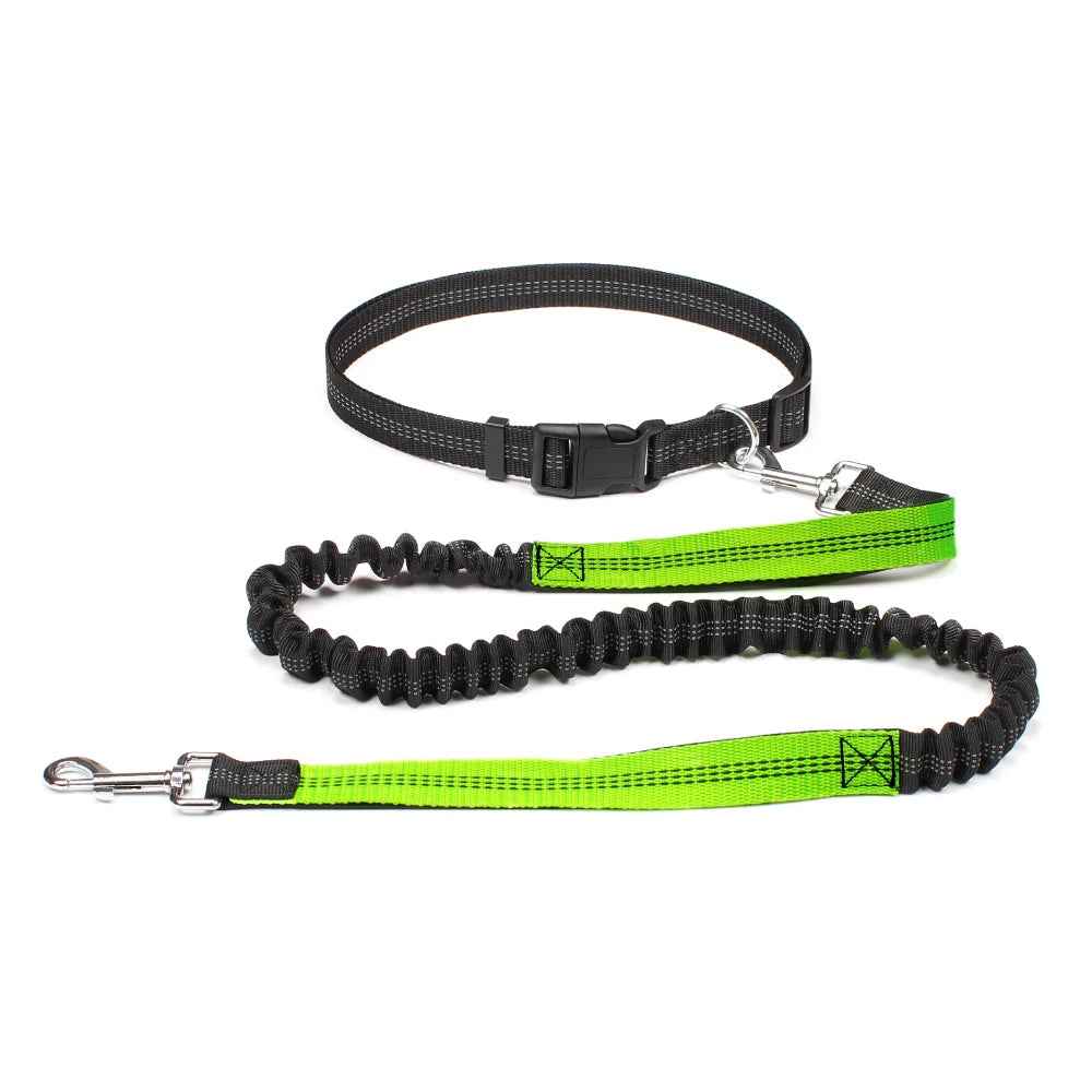 Hands Free Dog Leash Adjustable