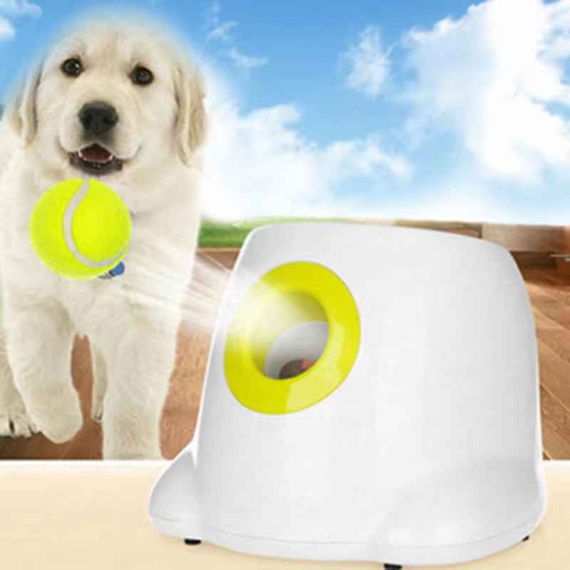 Automatic Ball Launcher for Dogs