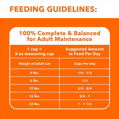 IAMS Salmon Dry Cat Food: Proactive Health for Adult Cats