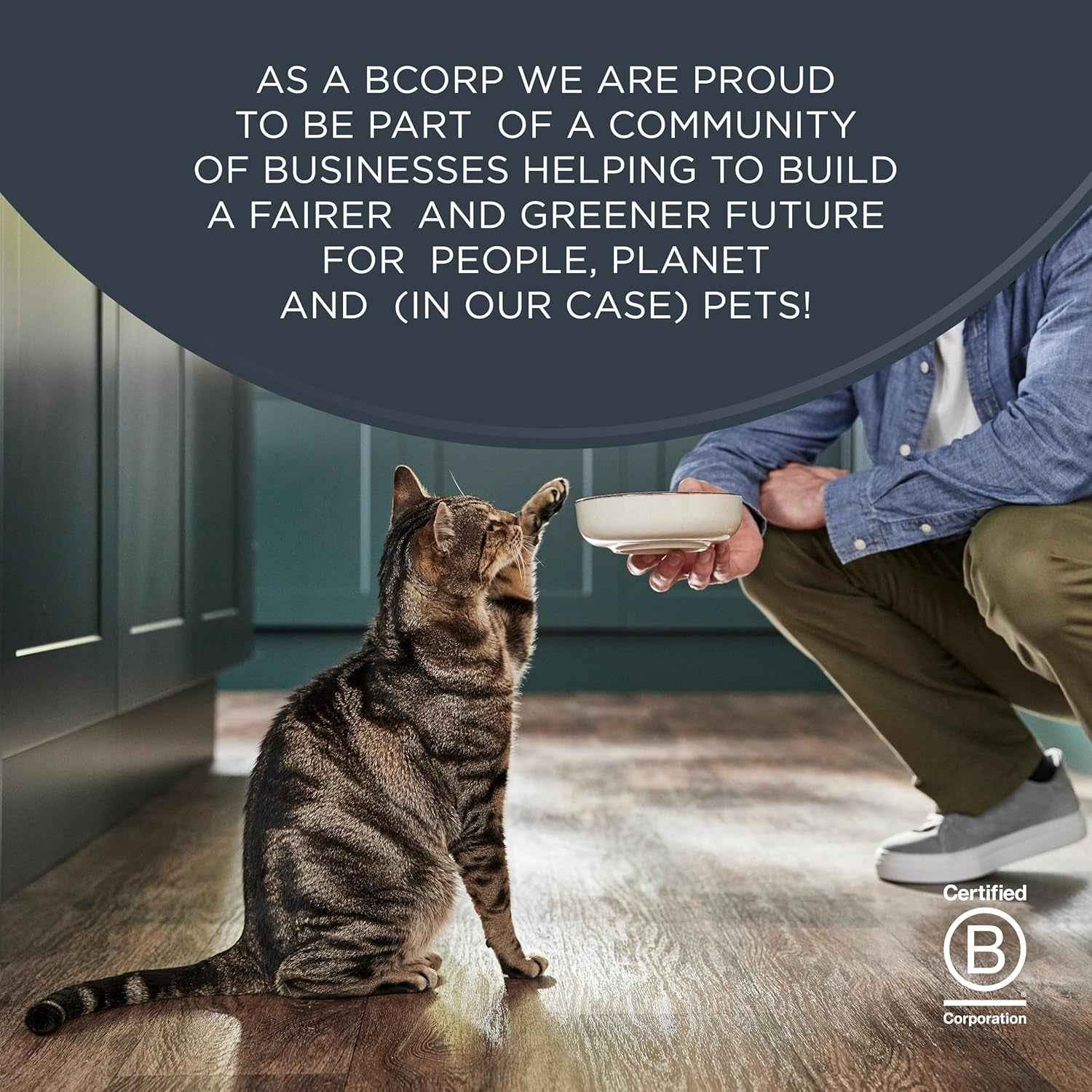 Natural Grain-Free Wet Cat Food - Reveal Fish Variety