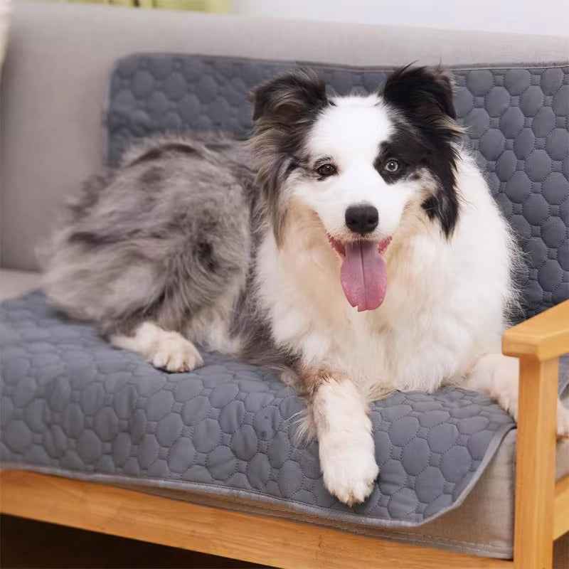 Durable Reusable Dog Pee Pad: Waterproof, Washable