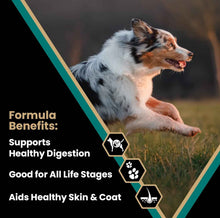 VICTOR Ocean Fish Dog Food Omega-3 for Healthy Skin & Coat