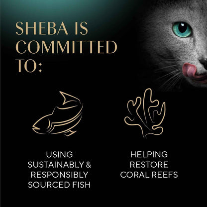Sheba Perfect Portions Wet Cat Food – Nutritious Pate Meals