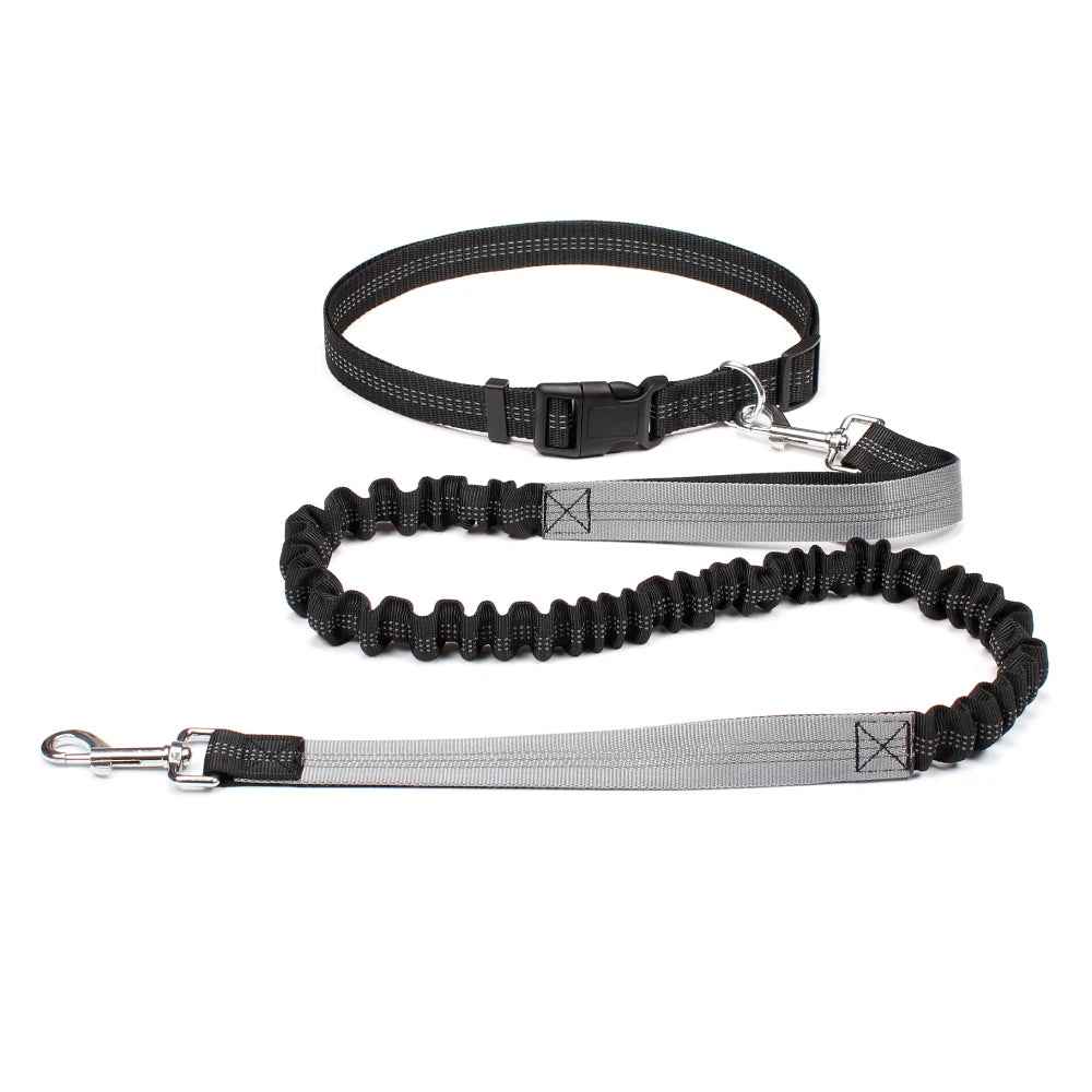 Hands Free Dog Leash Adjustable