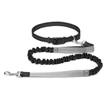 Hands Free Dog Leash Adjustable