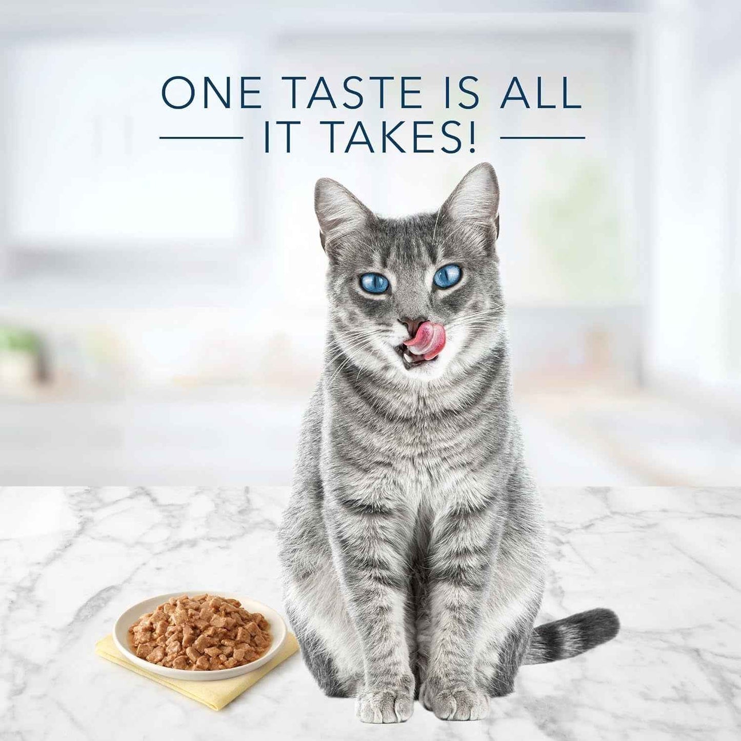 Blue Buffalo Tuna Flaked Wet Cat Food - Natural Ingredients