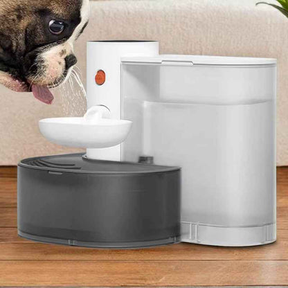 Smart Wireless Pet Fountain: 3L Dispenser for Small Pets