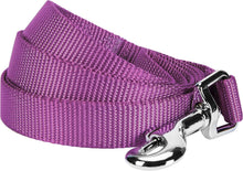 Durable Nylon Violet Dog Leash by Blueberry Pet Essentials - HuckMB Pet Supply