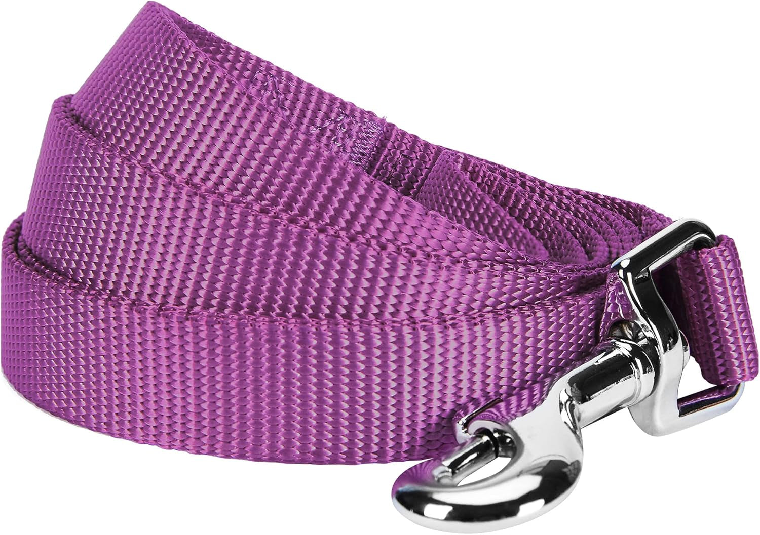 Durable Nylon Violet Dog Leash by Blueberry Pet Essentials - HuckMB Pet Supply